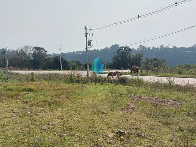 Imagem 10: Terrenos Terreno / lote com venda por R$170.500