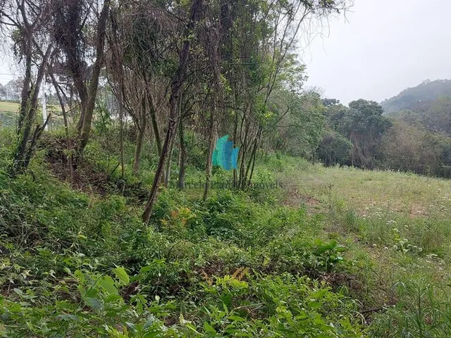 Imagem 6: Terreno Terreno / lote com venda por R$1.590.000