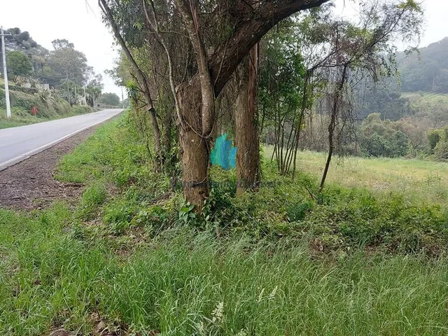 Imagem 9: Terreno Terreno / lote com venda por R$1.590.000