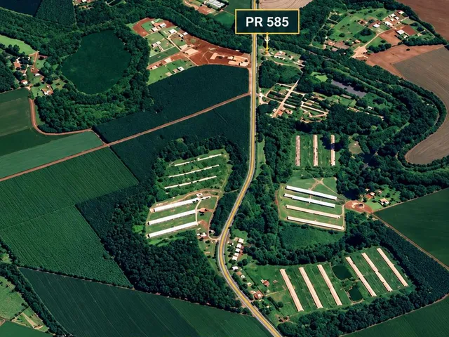 Imagem: ÁREA À VENDA 20.000 M² REGIÃO DA PR-585