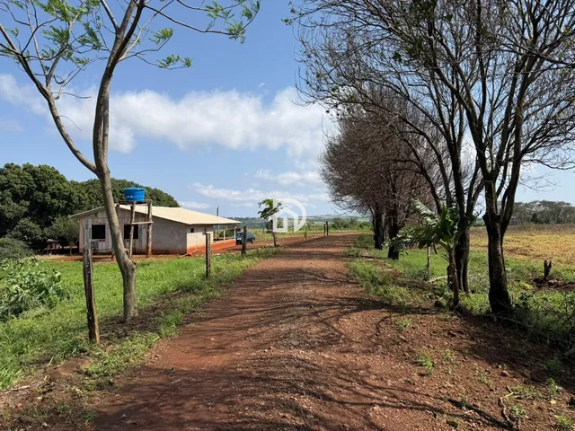 Imagem: 5 Alqueires a Venda no Assentamento 16 de