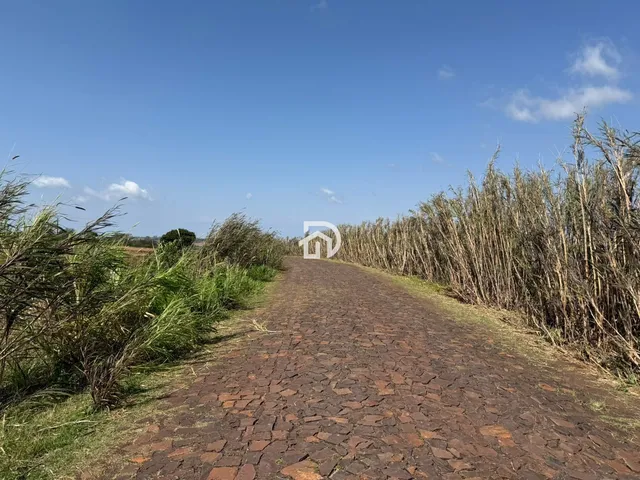 Imagem 3: 5 Alqueires a Venda no Assentamento 16 de Julho em Ramilândia-PR