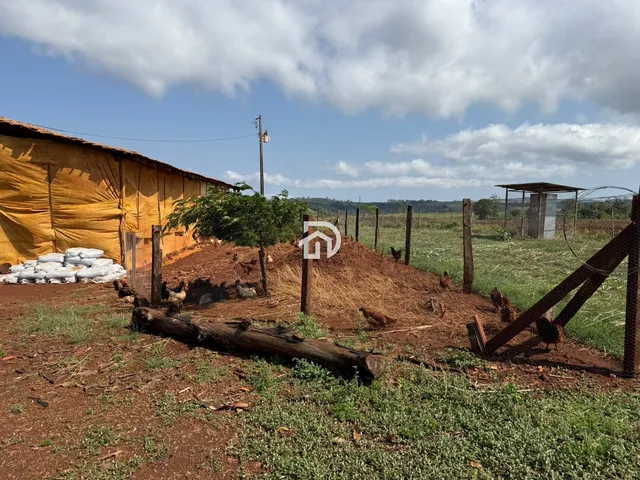 Imagem 5: 5 Alqueires a Venda no Assentamento 16 de Julho em Ramilândia-PR