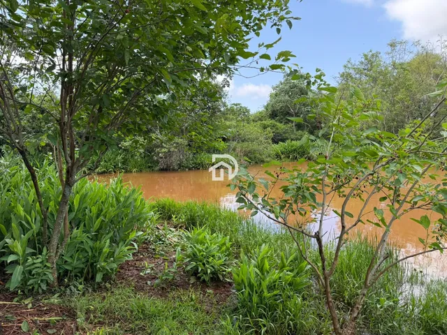 Imagem 14: 5 Alqueires a Venda no Assentamento 16 de Julho em Ramilândia-PR