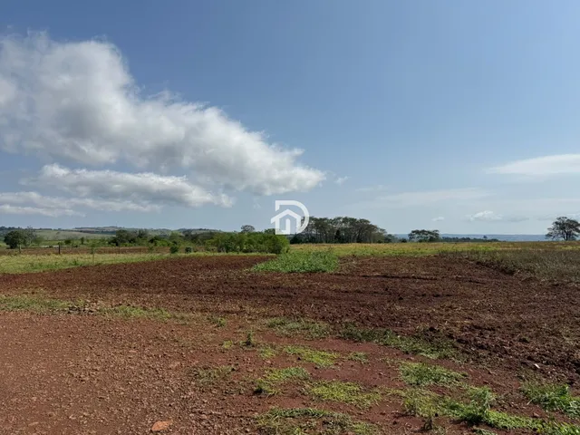 Imagem 4: 5 Alqueires a Venda no Assentamento 16 de Julho em Ramilândia-PR