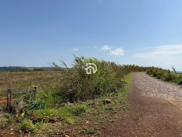 Imagem 8: 5 Alqueires a Venda no Assentamento 16 de Julho em Ramilândia-PR