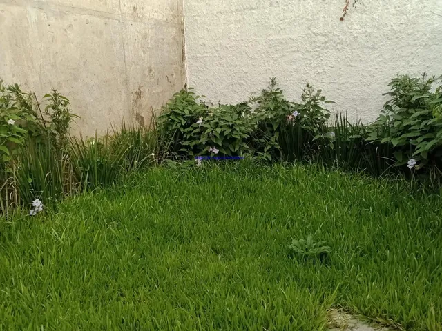 Imagem 7: 0 Pousada / chalé com 1 banheiro