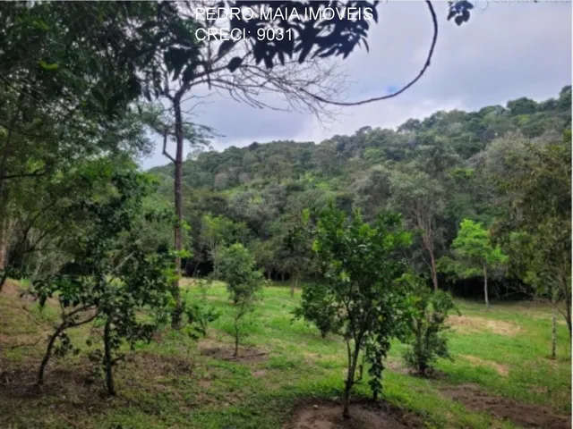 Imagem 6: SITIO RURAL em Caeté - Minas Gerais