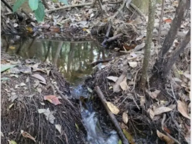 Imagem 10: SITIO RURAL em Caeté - Minas Gerais