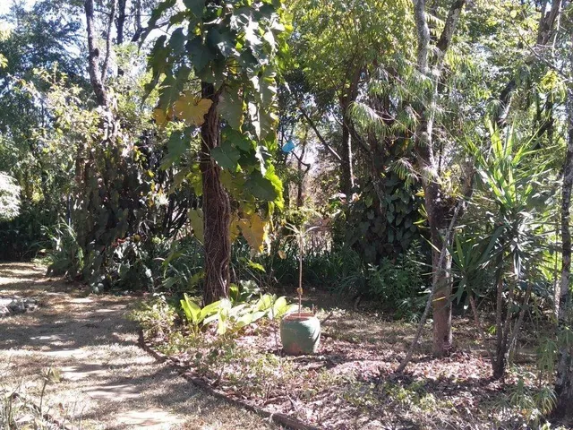 Imagem 6: Sitio Residencial em São José da Lapa - Minas Gerais