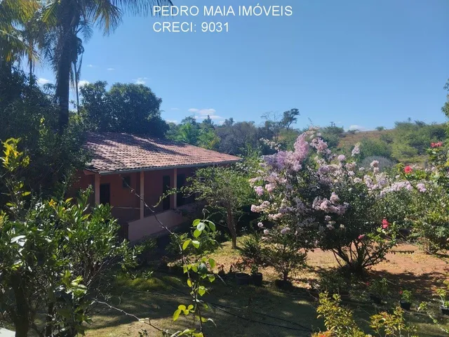 Imagem 11: Sitio Rural em São José da Lapa - Minas Gerais, Centro
