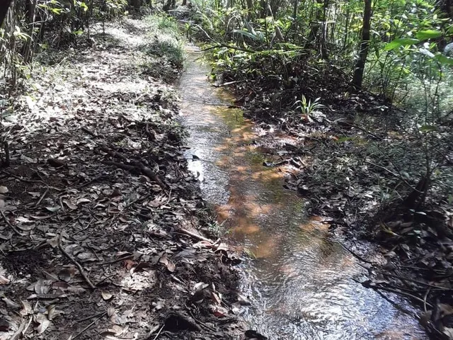 Imagem: SITIO RURAL em Desterro de Entre Rios