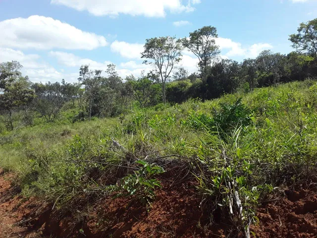 Imagem 10: SITIO RURAL em Desterro de Entre Rios - Minas Gerais, Centro