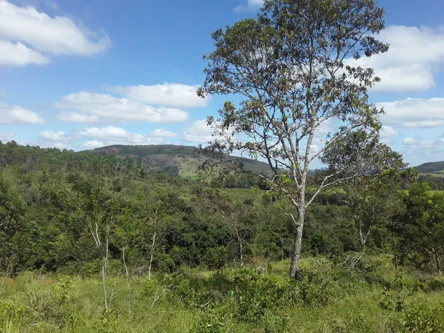 Imagem 9: SITIO RURAL em Desterro de Entre Rios - Minas Gerais, Centro