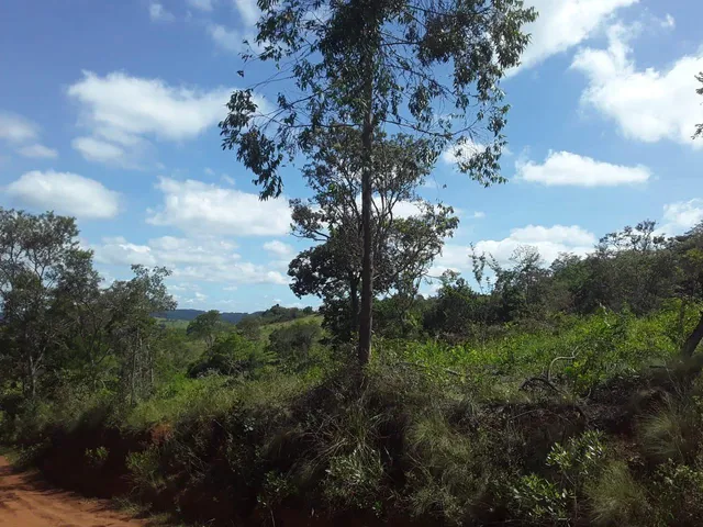 Imagem 15: SITIO RURAL em Desterro de Entre Rios - Minas Gerais, Centro