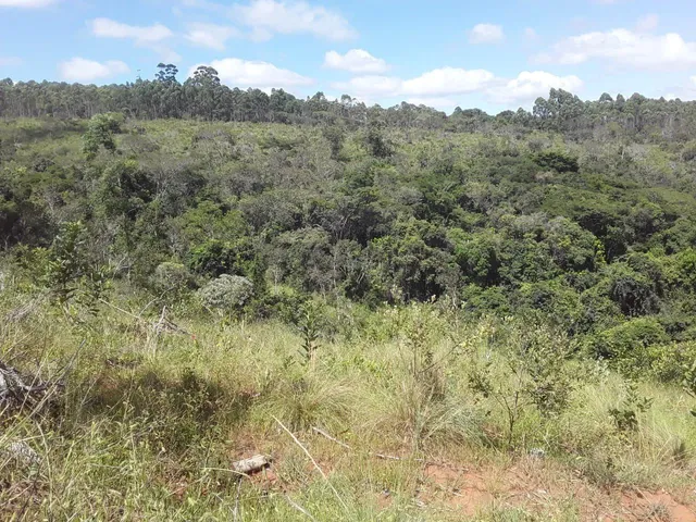 Imagem 7: SITIO RURAL em Desterro de Entre Rios - Minas Gerais, Centro