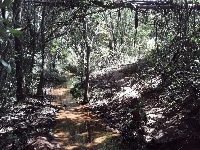 Imagem 16: SITIO RURAL em Desterro de Entre Rios - Minas Gerais, Centro