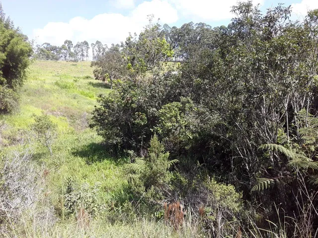Imagem 4: SITIO RURAL em Desterro de Entre Rios - Minas Gerais, Centro
