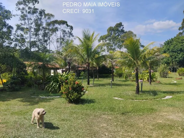 Imagem 6: SITIO RURAL em Esmeraldas - Minas Gerais, Caracois