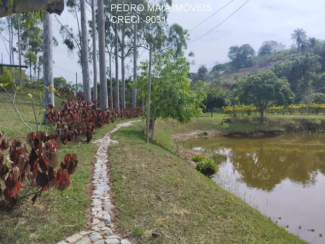Imagem 13: SITIO RURAL em Esmeraldas - Minas Gerais, Caracois