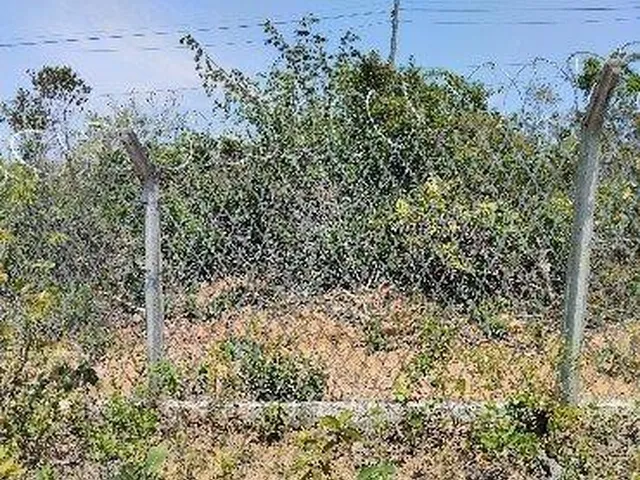 Imagem 11: TERRENO RESIDENCIAL em Lagoa Santa - Minas Gerais