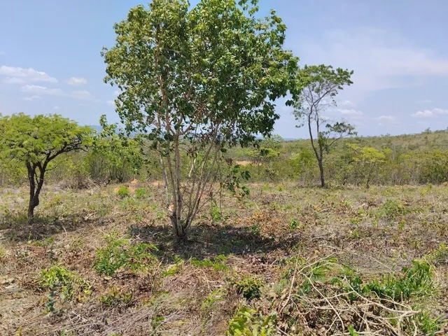 Imagem 5: TERRENO RESIDENCIAL em Lagoa Santa - Minas Gerais