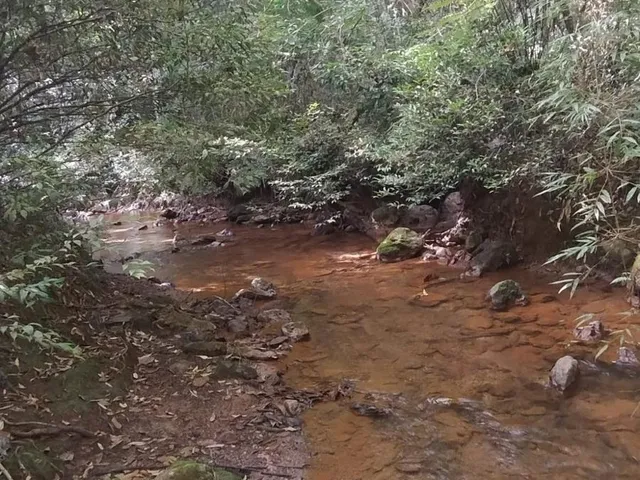 Imagem 8: SITIO RURAL em Raposos - Minas Gerais