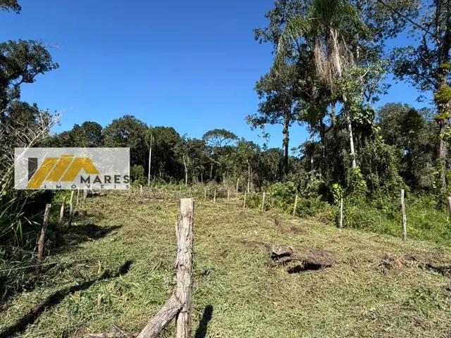 Imagem 8: Terreno à venda no bairro Balneário Albatroz - Matinhos/PR
