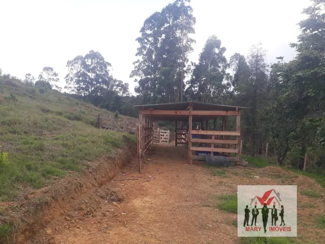Imagem 6: Sítio à venda em Poços de Caldas/MG
