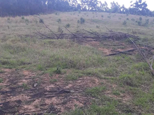 Imagem 9: Sítio à venda em Poços de Caldas/MG