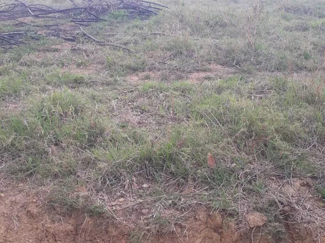 Imagem 7: Sítio à venda em Poços de Caldas/MG
