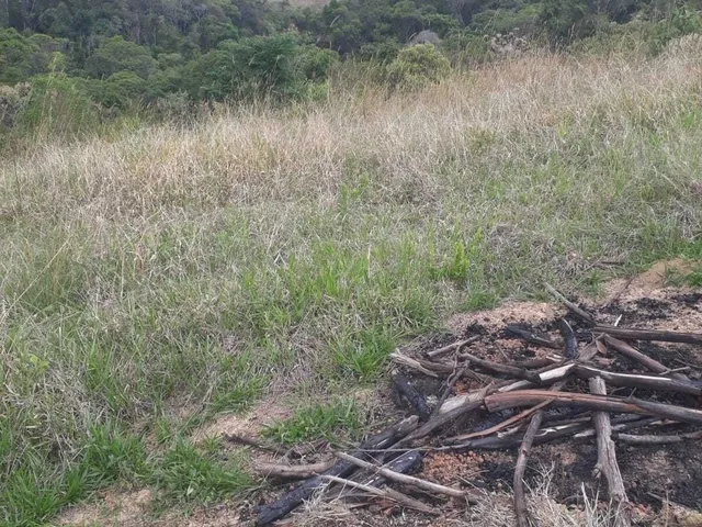 Imagem 3: Sítio à venda em Poços de Caldas/MG