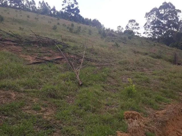 Imagem 4: Sítio à venda em Poços de Caldas/MG