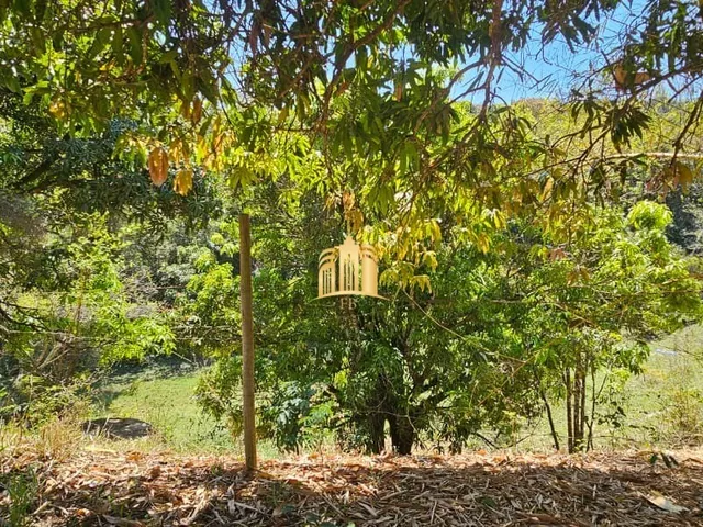 Imagem 16: FAZENDA A VENDA NA REGIÃO DE SERRA NEGRA EM ESMERALDAS/MG