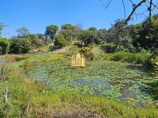 Imagem 9: FAZENDA A VENDA NA REGIÃO DE SERRA NEGRA EM ESMERALDAS/MG