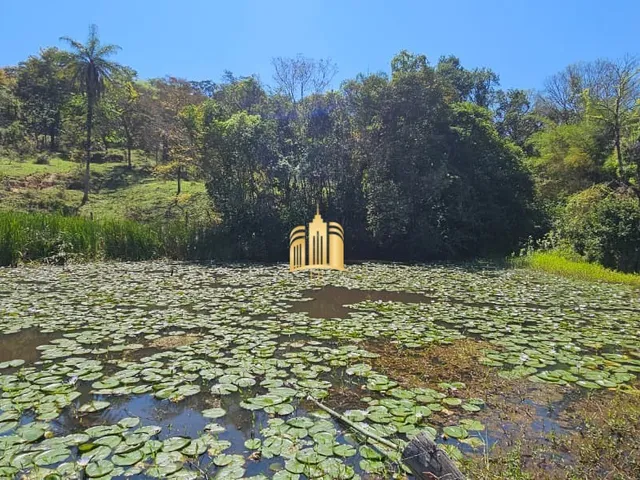 Imagem 15: FAZENDA A VENDA NA REGIÃO DE SERRA NEGRA EM ESMERALDAS/MG