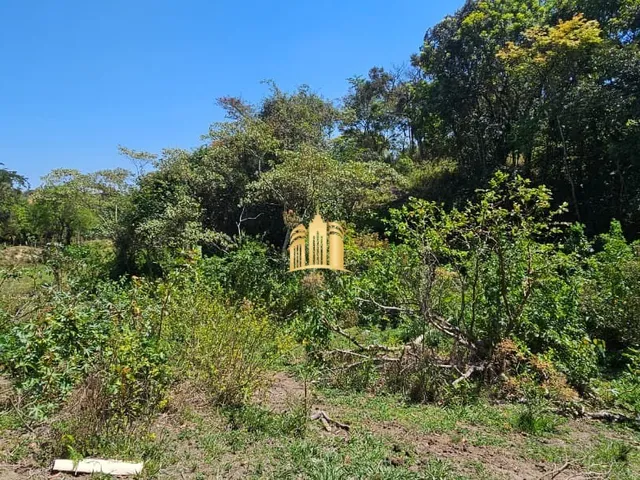 Imagem 6: FAZENDA A VENDA NA REGIÃO DE SERRA NEGRA EM ESMERALDAS/MG