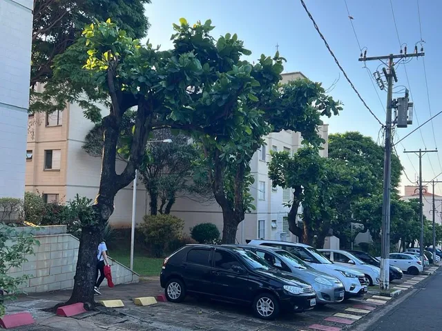 Imagem: Apartment em Campinas - São Paulo, Chácara
