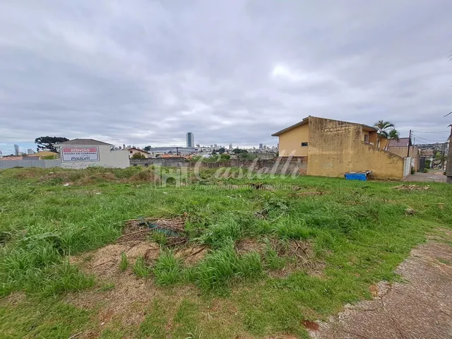 Imagem 7: Terreno comercial de esquina à venda, Uvaranas, PONTA GROSSA - PR