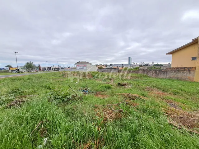 Imagem 8: Terreno comercial de esquina à venda, Uvaranas, PONTA GROSSA - PR
