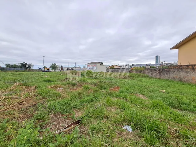 Imagem 10: Terreno comercial de esquina à venda, Uvaranas, PONTA GROSSA - PR