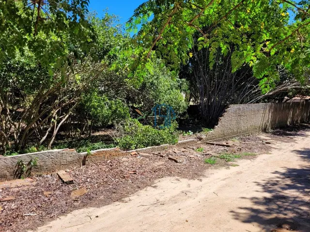 Imagem: TERRENO PIPA - Tibau do Sul/RN