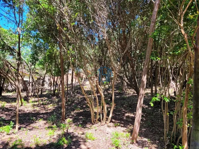 Imagem 7: Terreno Pipa - Tibau do Sul/Rn