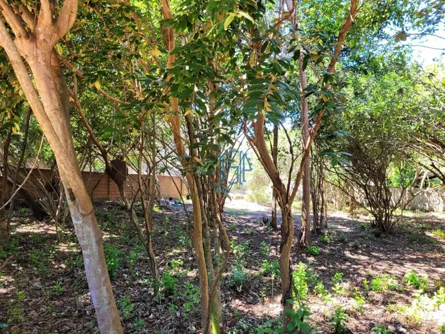 Imagem 4: Terreno Pipa - Tibau do Sul/Rn