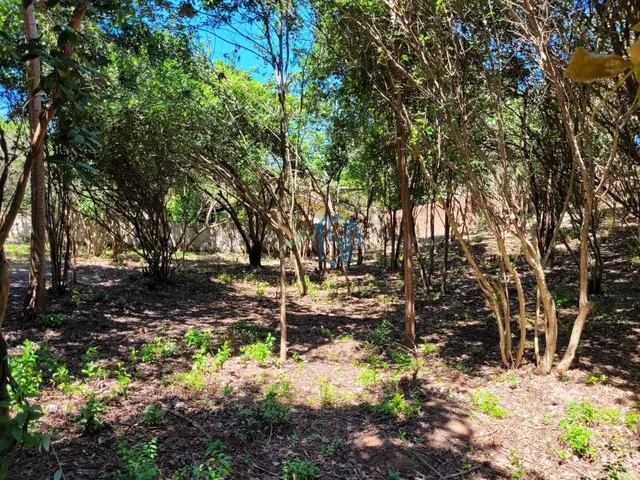 Imagem 6: Terreno Pipa - Tibau do Sul/Rn