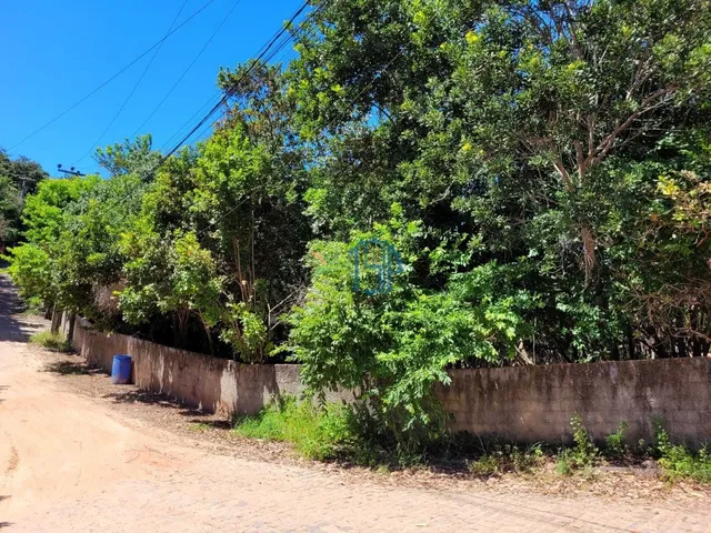 Imagem 5: Terreno Pipa - Tibau do Sul/Rn