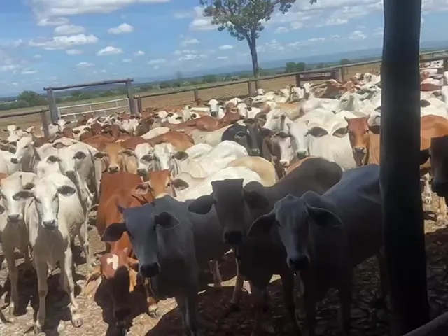 Imagem 5: Estate em Iaciara - Goiás, Zona Rural