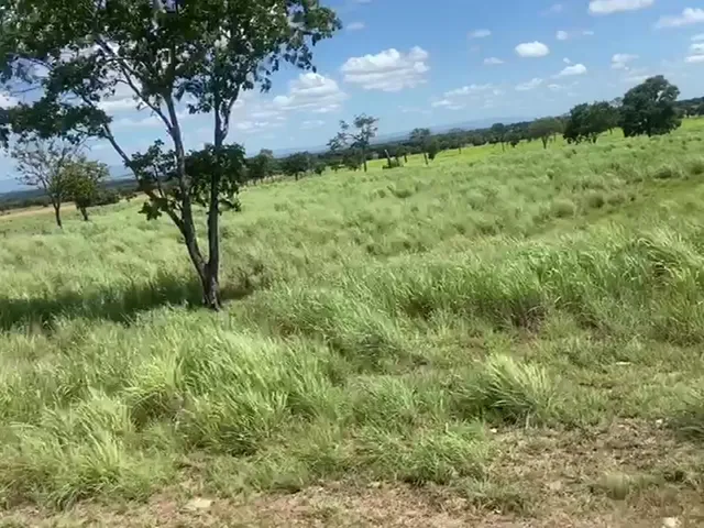 Imagem 9: Estate em Iaciara - Goiás, Zona Rural
