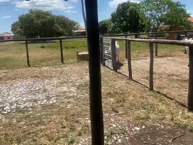 Imagem 2: Estate em Iaciara - Goiás, Zona Rural