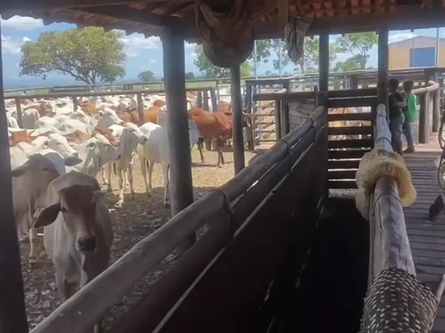 Imagem 4: Estate em Iaciara - Goiás, Zona Rural